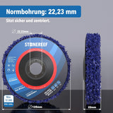 Reinigungsscheibe 5er-Set