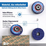 Reinigungsscheibe 5er-Set